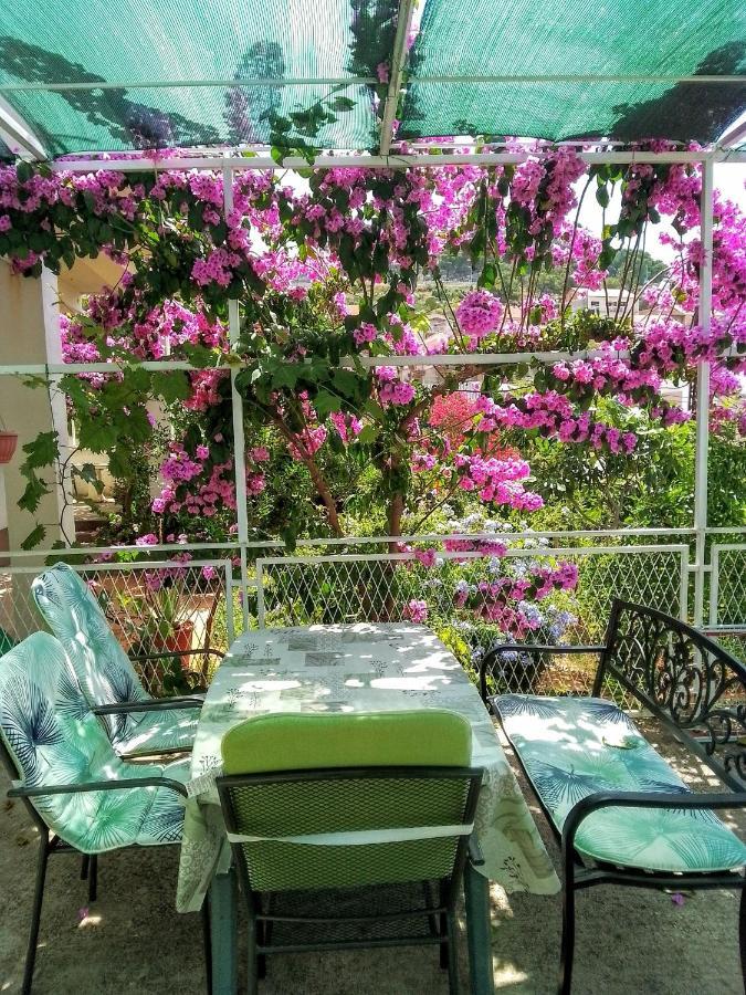 Marin Apartment Sibenik Ngoại thất bức ảnh