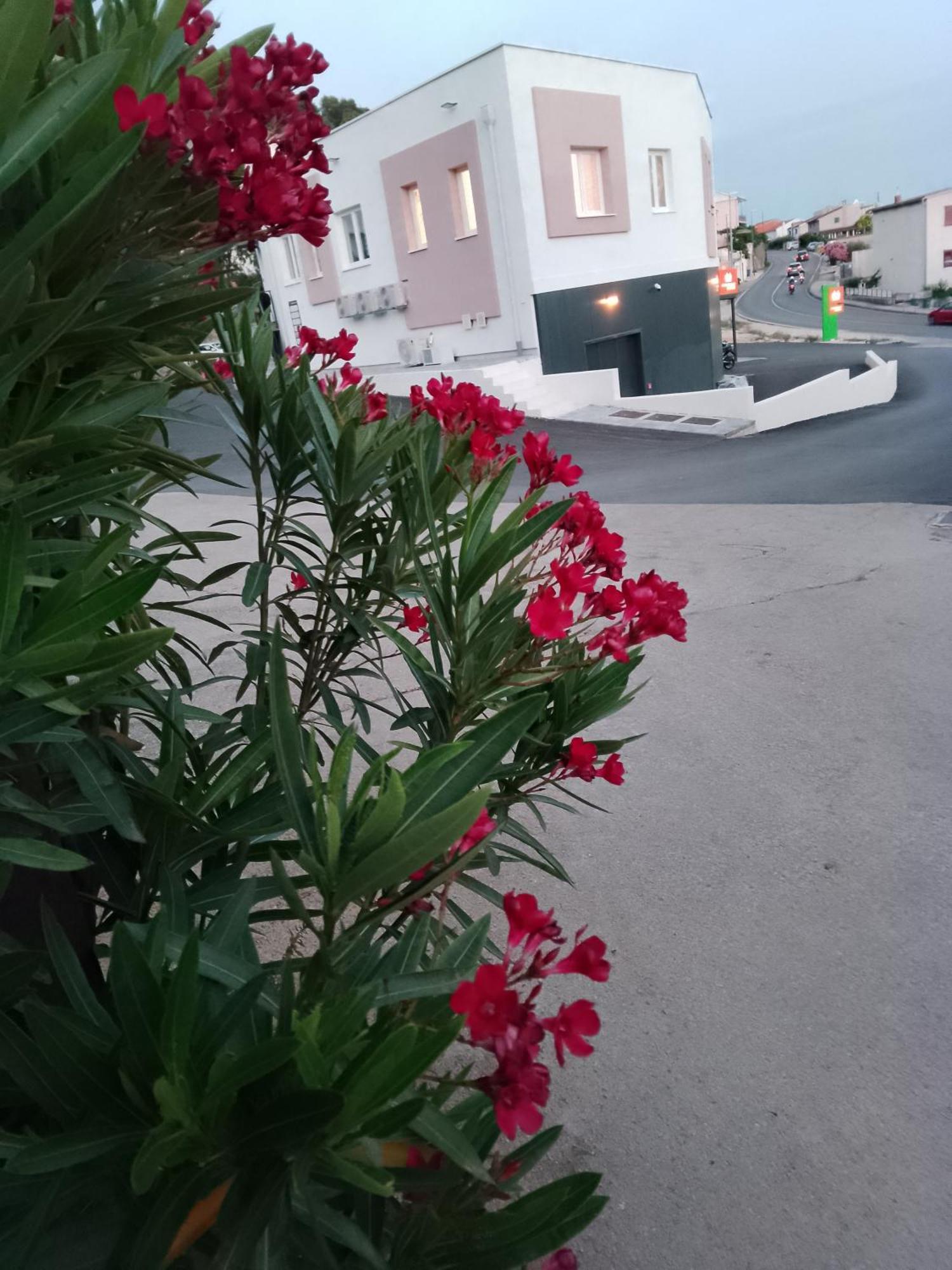 Marin Apartment Sibenik Ngoại thất bức ảnh